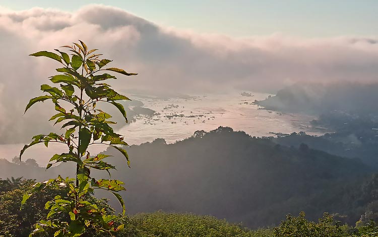 un petit bout d'isan, découvrez le nord-est du pays image 4
