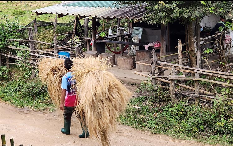 discover northern thailand off the beaten tracks image 13