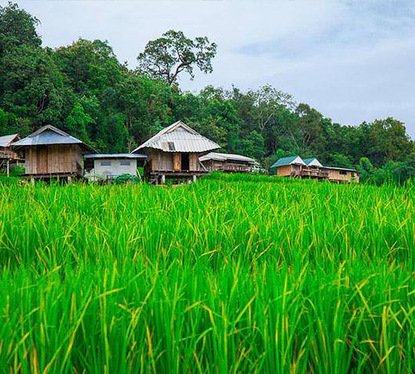 thaïlande du nord au sud: special juillet-août img 2